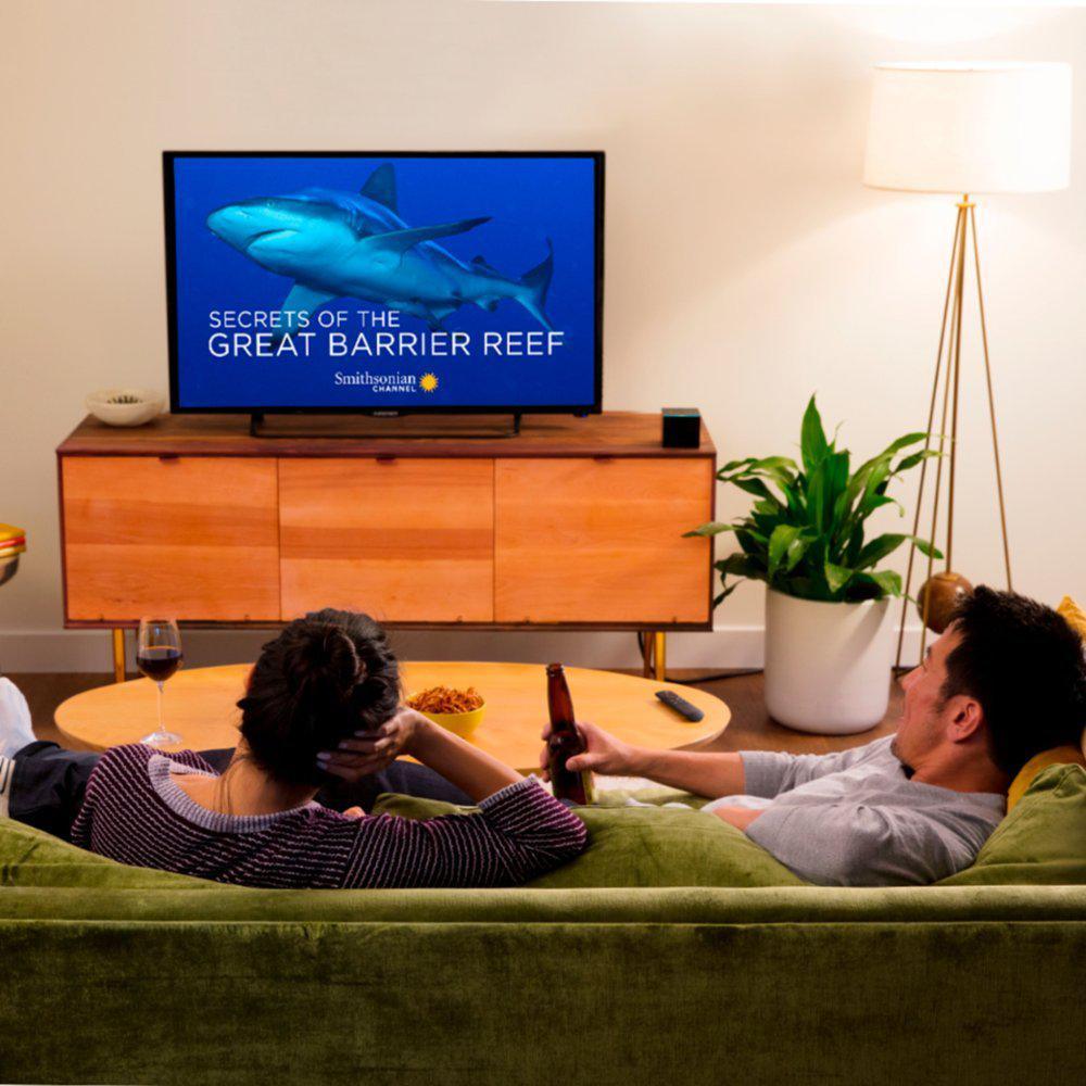 Fire TV Cube 4K Ultra HD - Super Arbor