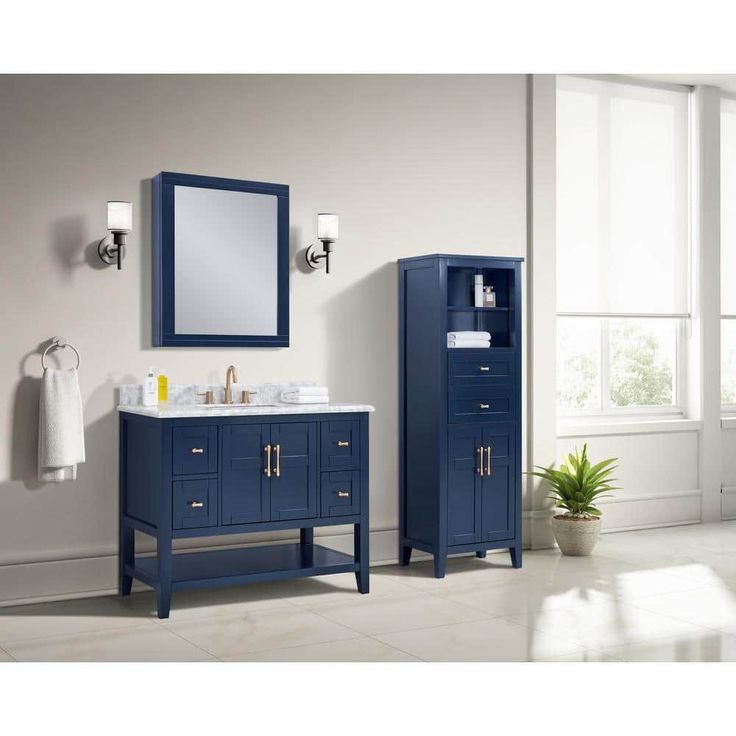 Home Decorators Collection Sturgess 24 in. W x 32 in. H Rectangular Medicine Cabinet with Mirror