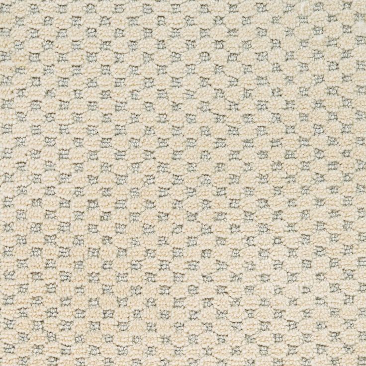 STAINMASTER PetProtect Natural Essence Old Stone Pattern Carpet Sample (Interior)