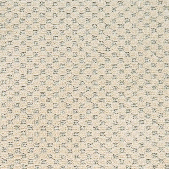 STAINMASTER PetProtect Natural Essence Old Stone Pattern Carpet Sample (Interior)