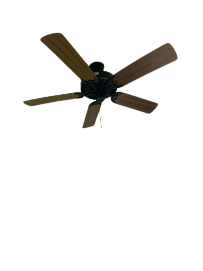 Hunter 52" Hunter Original Damp Rated Matte Black Ceiling Fan with Pull Chain