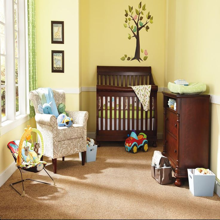 STAINMASTER Essentials Palmer Twin Peak Textured Carpet Sample (Interior)