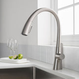 Nolen Single-Handle Pull-Down Sprayer Kitchen Faucet with 2-Function Sprayhead in all-Brite Spot Free Stainless Steel - Super Arbor