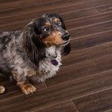 Cali Bamboo (Sample) Fossilized Vintage Port Bamboo Solid Handscraped Waterproof Hardwood Flooring