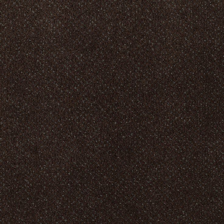 STAINMASTER Home & Office Music Store Dark Roast Pattern Carpet (Interior)