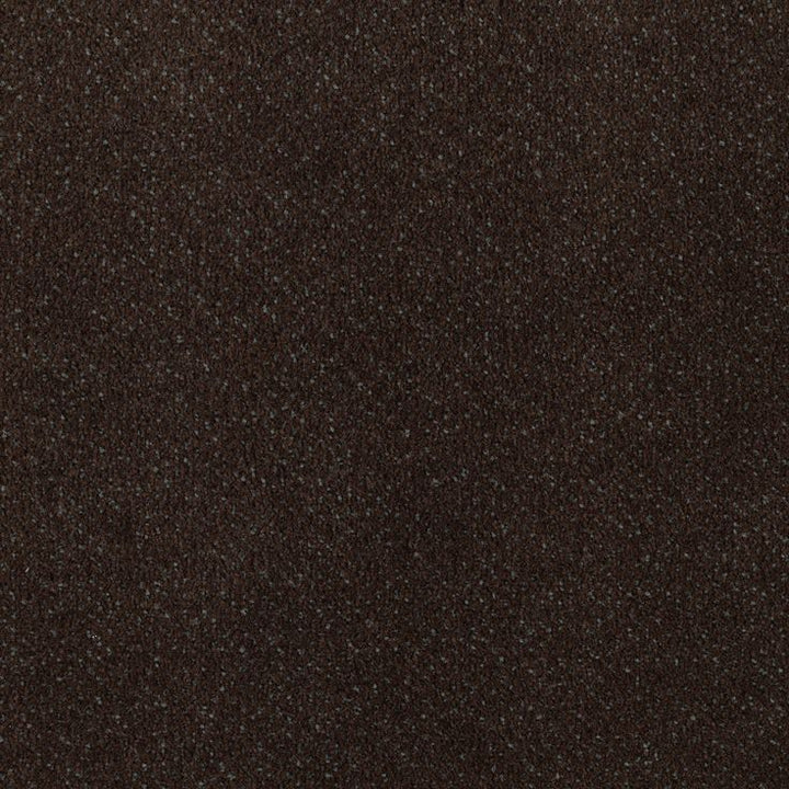 STAINMASTER Home & Office Music Store Dark Roast Pattern Carpet (Interior)