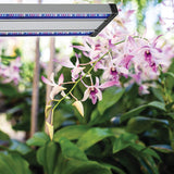 Grow Elite Brushed Nickel Integrated LED 72-Watt Indoor Grow Light Linkable Adjustable Height - Super Arbor