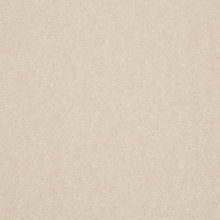 STAINMASTER Essentials Intuition I 12-ft Feather Down Textured Carpet Sample (Interior)