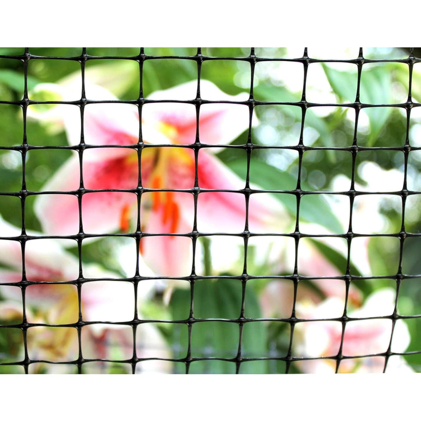 9bcc3b30-ab6b-4ade-a196-887d48fa5ca6_quality=60&_mzcb=_1649148331752_1508500038