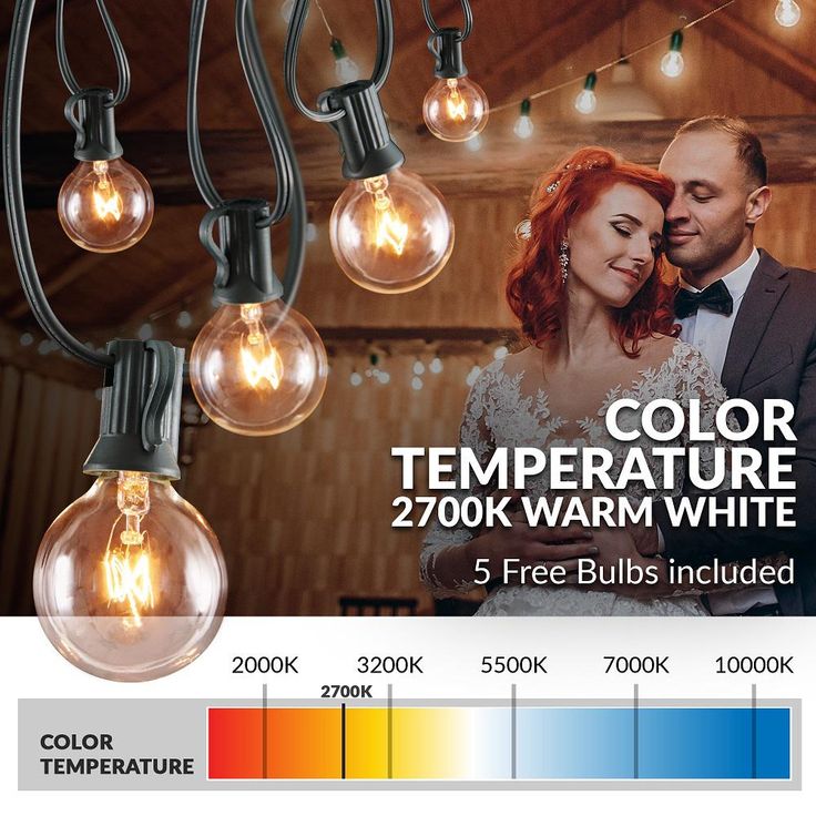 50 ft. Indoor/Outdoor Weatherproof Party String Lights with 50 Sockets Light Bulbs Included
