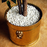 Mosser Lee 5 lb. Marble Nuggets Jar - Super Arbor