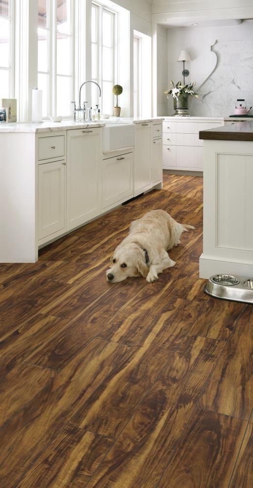 Shaw Prismatic Plus 8-Piece 7.09-in x 48.03-in Canyon Acacia Luxury Vinyl Plank Flooring