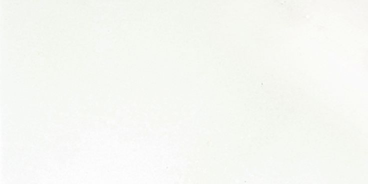 Emser THASSOS WHITE 6-Pack Thassos White 12-in x 24-in Polished Natural Stone Marble Stone Look Floor and Wall Tile