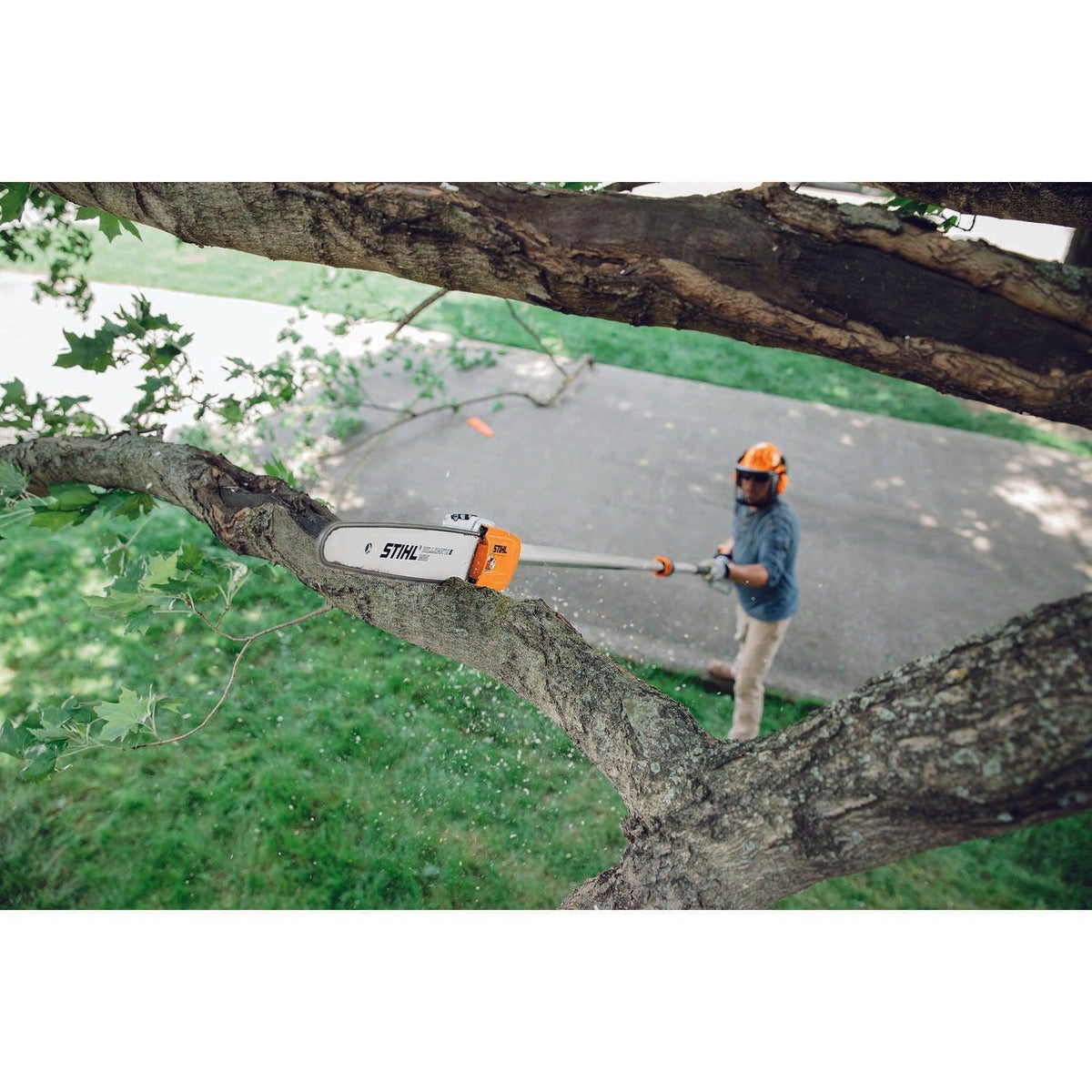 9f15e77e-7b33-4f3b-9a25-9e4edb6651f8_quality=60&_mzcb=_1649148331752_-785162530