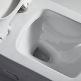 1-Piece 1.28 GPF Dual Flush High Efficiency Elongated Toilet in White, Seat Included - Super Arbor