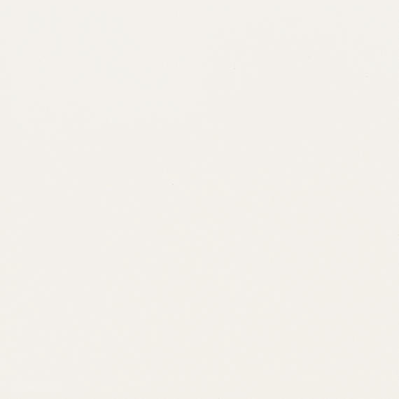 American Olean Matte Designer White Ceramic Bullnose Tile, 2-in x 2-in