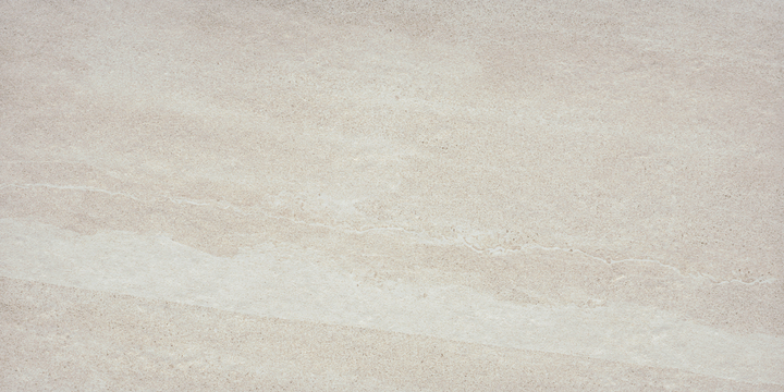 Emser ACCESS II 8-Pack Route 12-in x 24-in Glazed Porcelain Stone-Look Tile