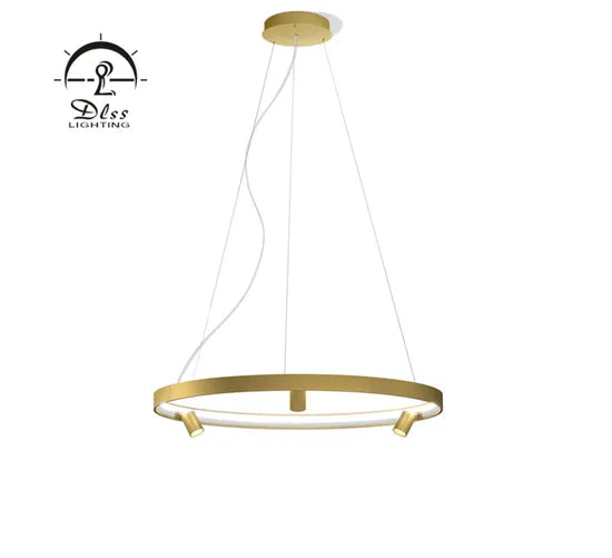 DLSS Lighting Co., Ltd. Aluminum Black Modern Hanging LED Chandelier Pendant Light