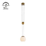 DLSS Lighting Beautiful Glass and Iron Globe Pemndant Lamp