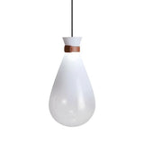DLSS Lighting Beautiful Shaped Pendant Light