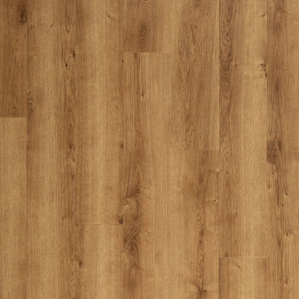 Blonde Oak Rigid Core Luxury Vinyl Plank - Cork Back