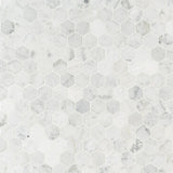 Carrara White Hexagon 12 in. x 12 in. x 8mm Honed Marble Mesh-Mounted Mosaic Tile (9.8 sq. ft./Case)