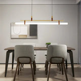 DLSS Lighting China Factory Interior Lighting Home Indoor Chandelier Acrylic Modern LED Pendant Lamp