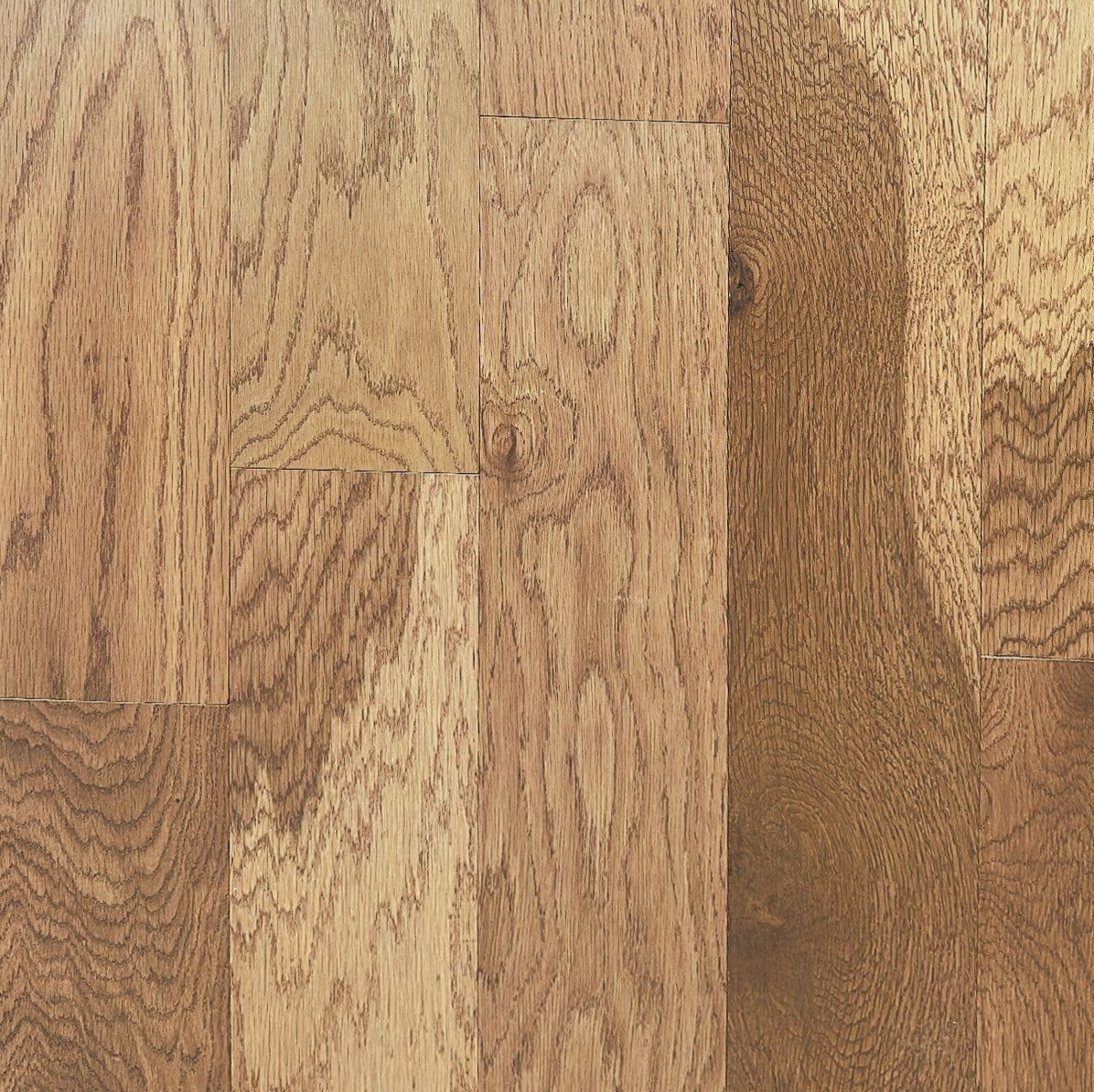 Collie White Oak Wire-Brushed Engineered Hardwood