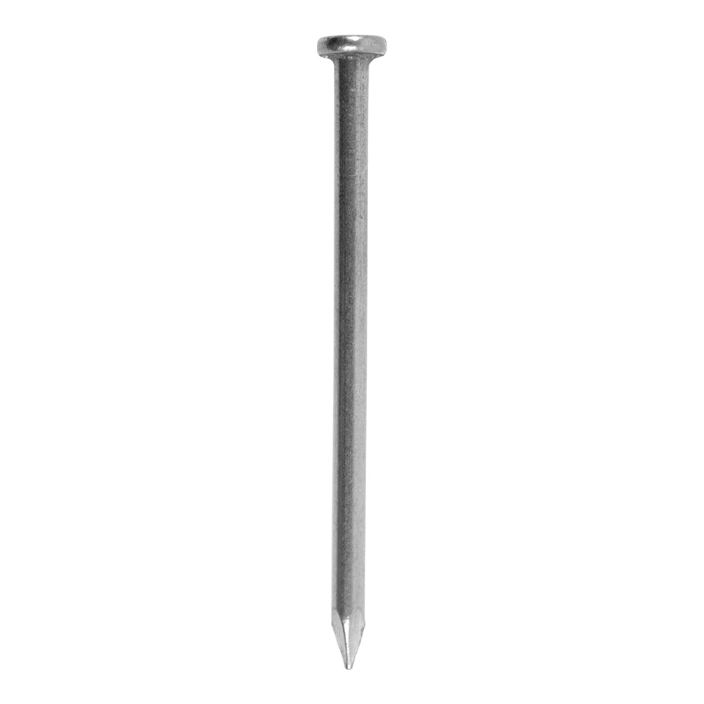 Grip-Rite 20D 4 in. Common Hot-Dipped Galvanized Steel Nails, Flat Head, 50 lb