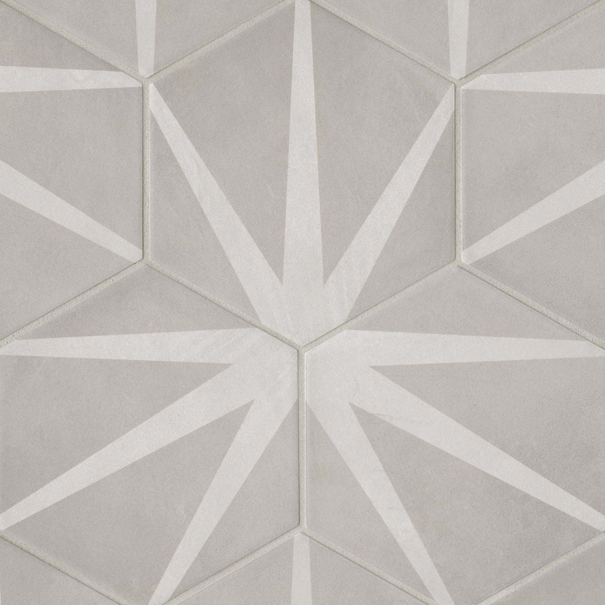 Allora 8.5" x 10" Hexagon Porcelain Decorative Tile in Stella (12.67 SqFt/Ctn)