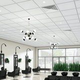 Armstrong Ceilings Dune 48 in. x 24 in. White Smooth Drop Acoustic Panel Ceiling Tiles, 15/16 in. Grid, 8-Pack