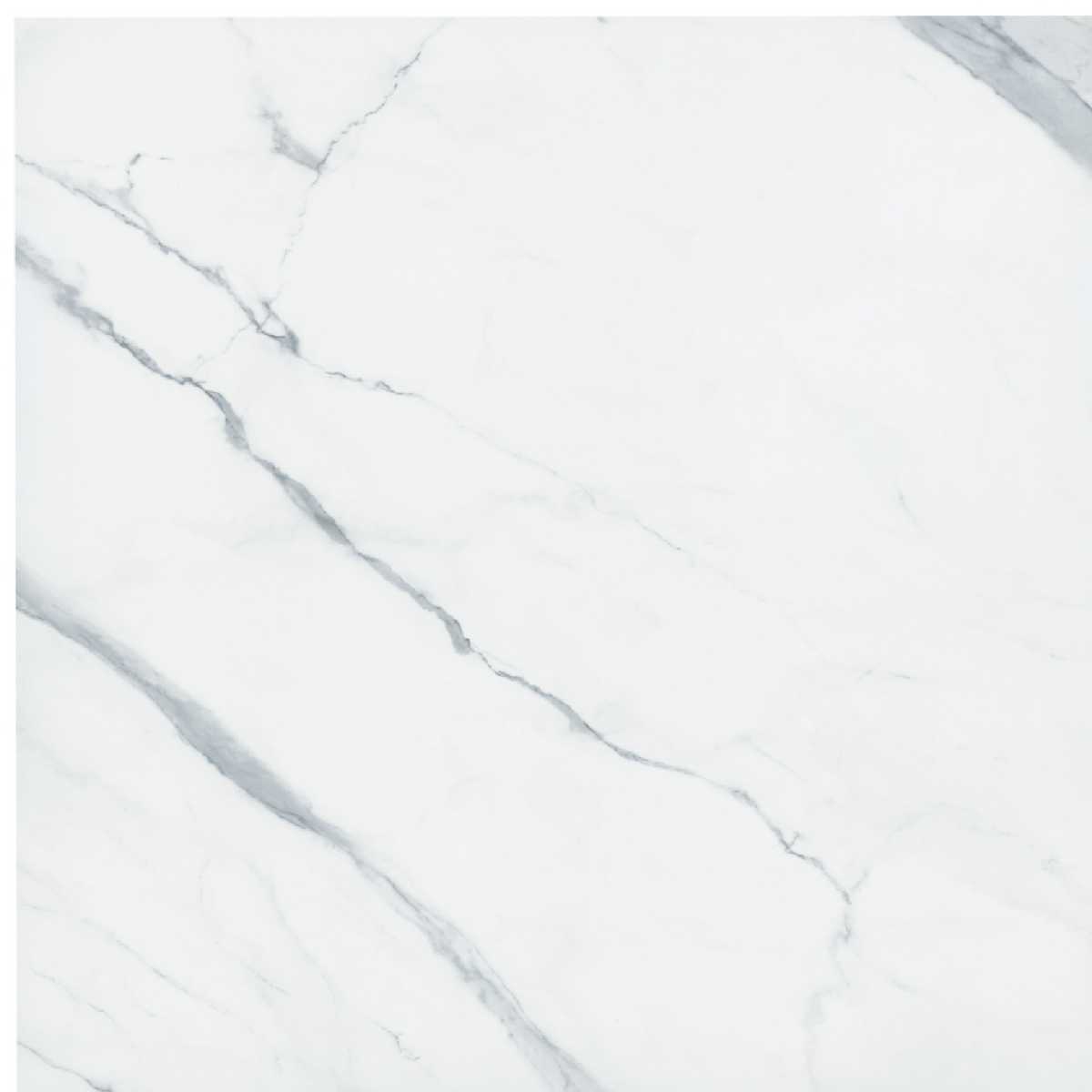 Elite Renoir Polished Porcelain Wall and Floor Tile - 48 x 48 in.