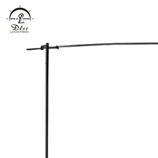 DLSS Lighting Fashion Floor Lamp
