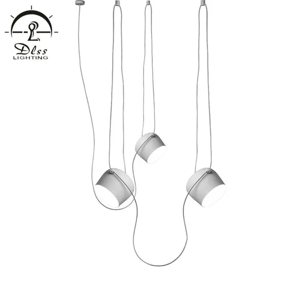 DLSS Lighting Co., Ltd. Fashion Pendant Lighting with Cheap Price LED Hotel Pendant Lamp