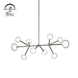 DLSS Lighting Iron Glass Fashion LED Pendant Lamp Modern Ceiling Light Chandelier