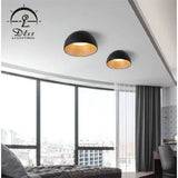 DLSS LED Ceiling Lamp Bowl-Shaped Home Decoration Modern LED Light Ceiling Lighting