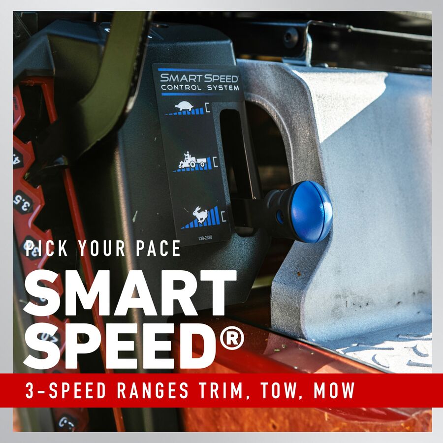 Toro 42" TimeCutter Zero-Turn Riding Mower with Smart Speed, 15.5 HP Briggs & Stratton, Model 75748