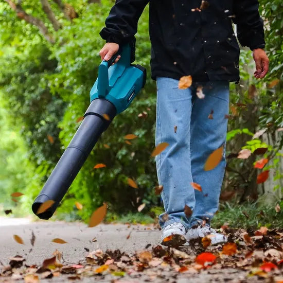 Liangye 2022 Gardening Tool Revolution 20V Best Battery Powered Anti Static Cordless Leaf Blower