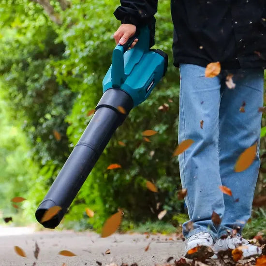 Liangye DIY Gardening Tool 2022 Best 20V Cordless Battery-Powered Leaf Blower