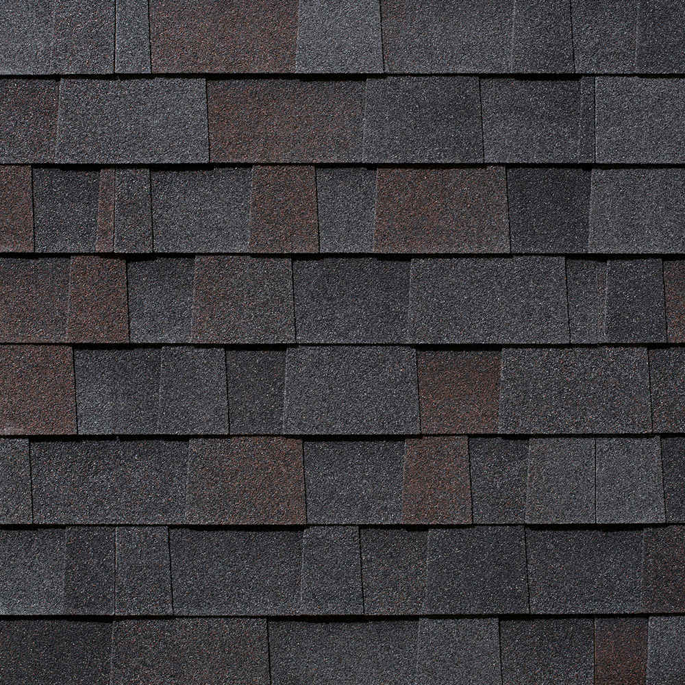 Malarkey Highlander NEX Non-AR Black Oak