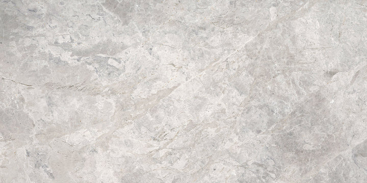 Emser Marble Silver 12-in x 24-in Polished Natural Stone Floor and Wall Tile