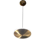 DLSS Lighting Modern Matt Gold Stainless Steel Acrylic Round Chandelier Lamp