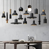 DLSS Lighting Modern Style Chandelier Lighting for Home Decorative Hotel Interior LED Pendant Lamp