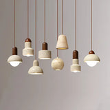 DLSS Lighting Modern Style Chandelier Lighting for Home Decorative Hotel Interior LED Pendant Lamp