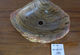 (Please choose your sink) Eden Bath Natural Stone Mid-Sized Vessel Sink in Petrified Wood