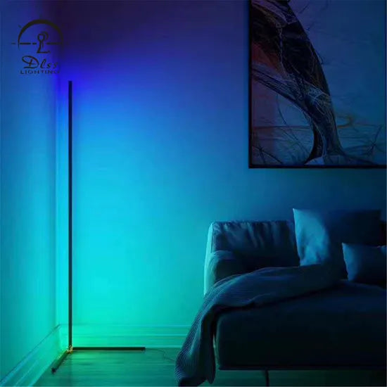 DLSS Lighting Co., Ltd New Design Multiple-Colors Online Celebrity & Modern LED Floor Light
