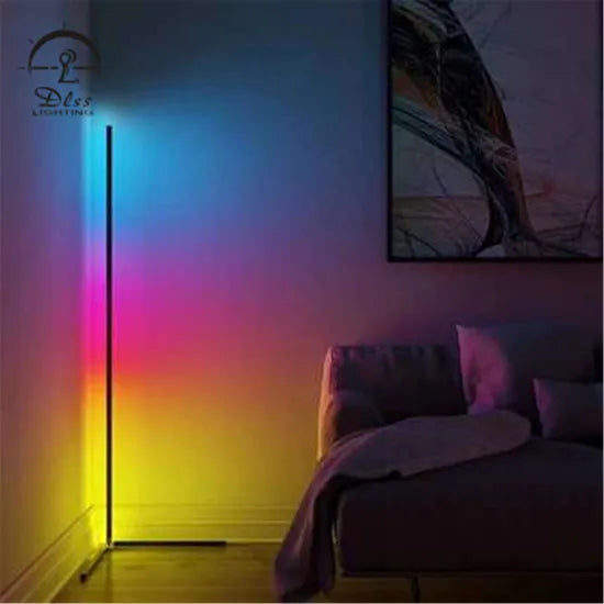 DLSS Lighting Co., Ltd New Design Multiple-Colors Online Celebrity & Modern LED Floor Light