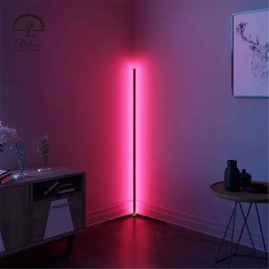 DLSS Lighting Co., Ltd New Design Multiple-Colors Online Celebrity & Modern LED Floor Light