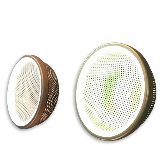 DLSS Lighting Co., Ltd Newest Home Living Room Wall Light Fixture Decorative Lighting