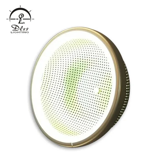 DLSS Lighting Co., Ltd Newest Home Living Room Wall Light Fixture Decorative Lighting